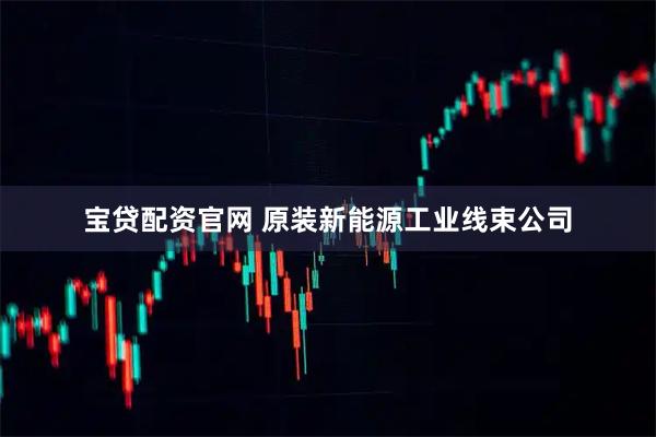 宝贷配资官网 原装新能源工业线束公司